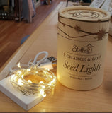 Charge & Go 3m Seed Lights