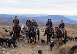 Winter Warmers : Recipes & Stories From A New Zealand High Country Station - Philippa Cameron