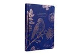 Jane Austen: Indulge Your Imagination Hardcover Ruled Journal