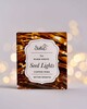 Seed Lights - 5m AA Battery Operated