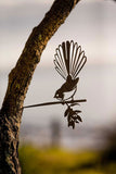 Metalbird Fantail / Piwakawaka