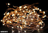 Seed Lights - Charge & Go with USB - Copper